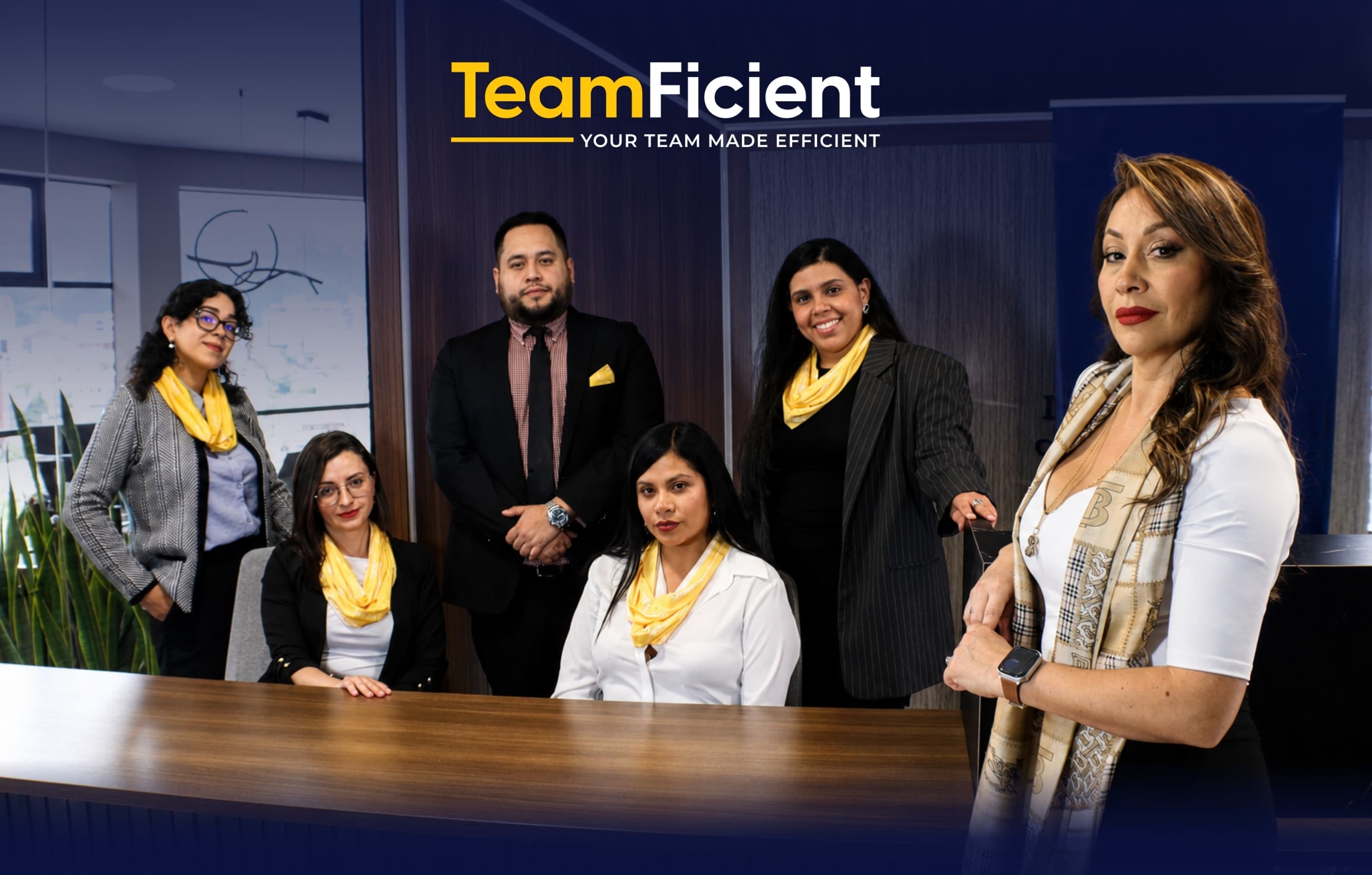 TeamFicient overview